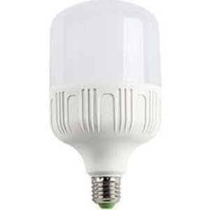 WINLIGHT 20 WAT TORCH AMPÜL(100)