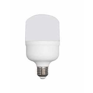WINLIGHT 30 WAT TORCH AMPÜL (50)