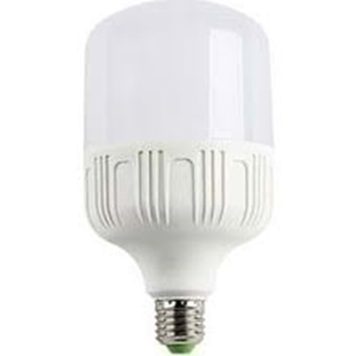 WINLIGHT 20 WAT TORCH AMPÜL(100)